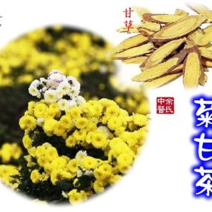 10. 菊甘茶